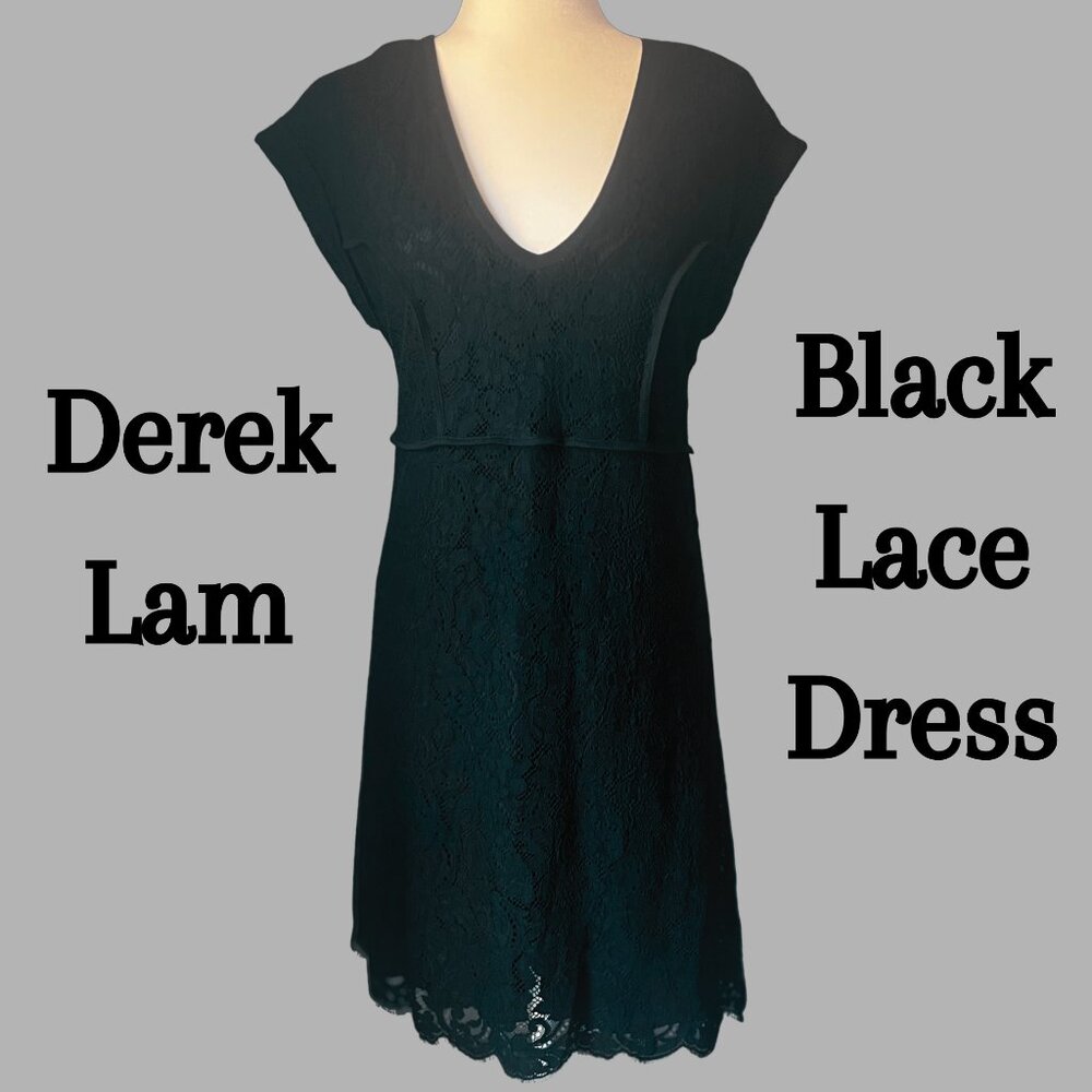 Derek Lam Black Lace Silk-Lined Knee Length Dress – Size 4
